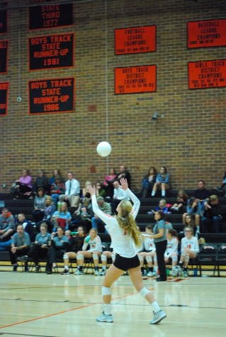 Player number 7, Elizabeth Reich serves the ball. 
