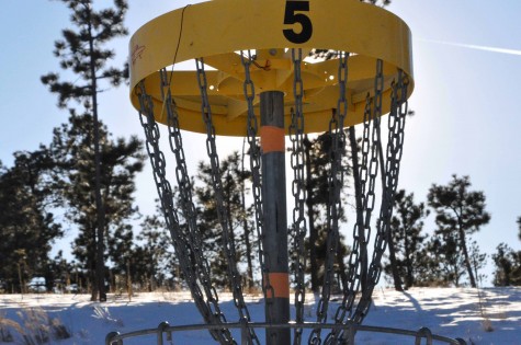 The disc golf basket 5 at the Church at Woodmoor