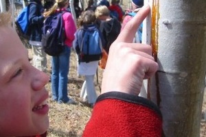 Sixth graders explore High Trails Outdoor Education Center