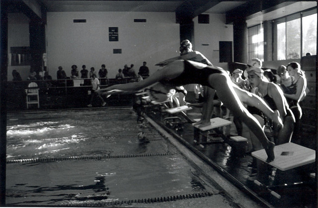 Creative commons photo courtesy of  elise.y on Flickr. A girl is diving headfirst into the pool to begin the race.