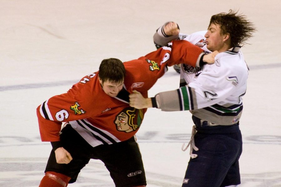 In an NHL game in 2009, two players are engaged in a vicious fight, one of which that attracts a prodigious amount of fans.