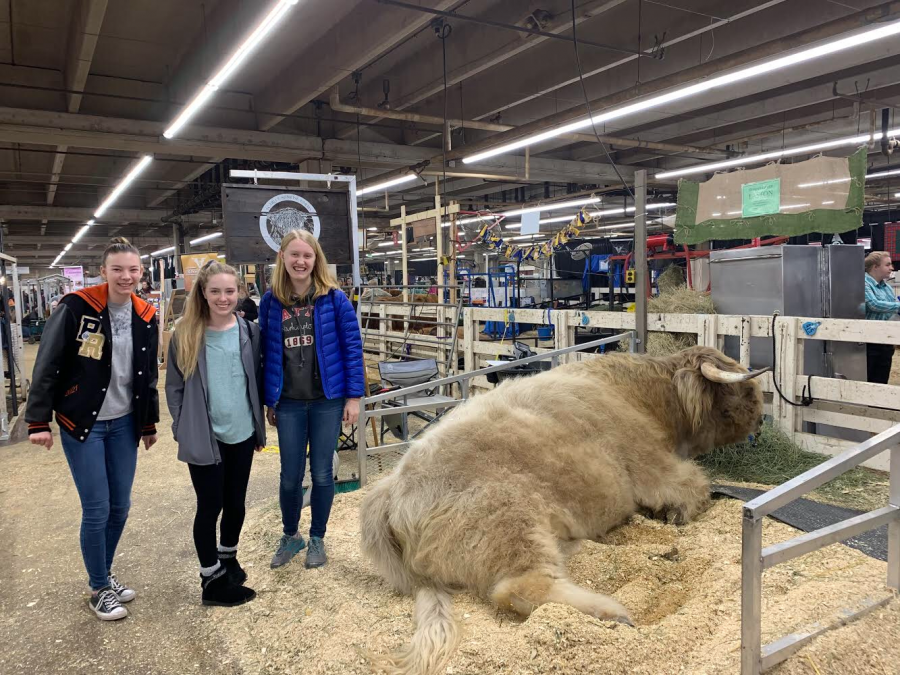 Students Katie Nalley, Makayla Boles and Adelyn Thompson attend the National Western Stock Show in Denver, Colorado. 
