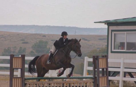 Rosen Shares her Exciting Equestrian Experience